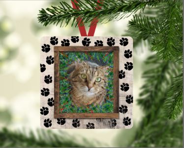 Pet Picture Ornament